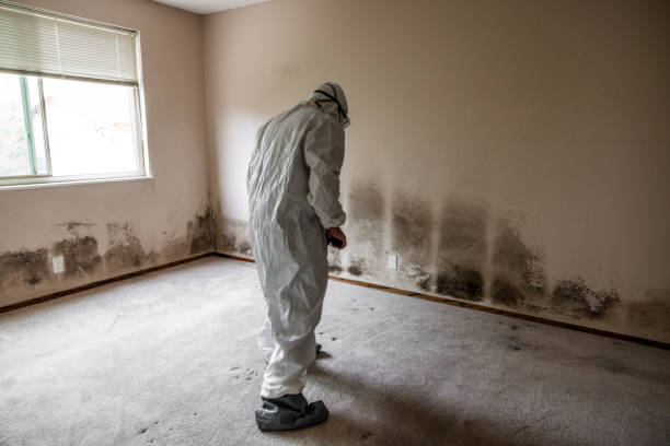 Best Fast Mold Removal  in Batesville, MS